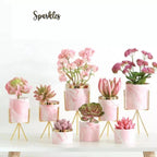 MODERN MARBLE CERAMIC POT PLANTER SPARKLES